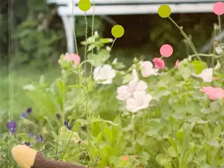 27 sjove strømper 