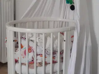 Baby seng stokkeseng 