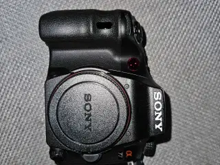 Sony Alpha SLT-A77