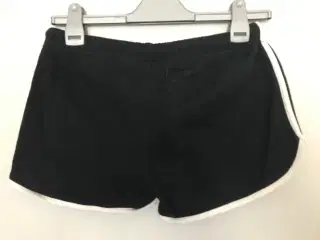 Björkvin shorts