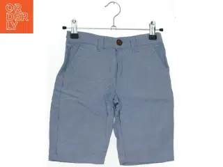 Blå shirts fra Chino (str. 122)