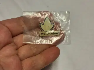 Bio polished pin