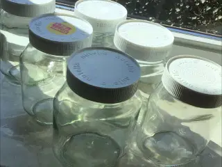 6stk opvarmning glas