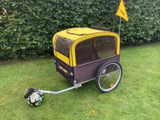 BLUE BIRD hundetrailer