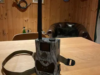 Bolyguard BG584-24MP 4G