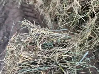 Økologisk 2 slet Wrap