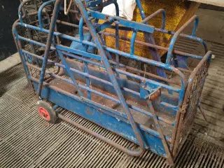 - - - Digital grisevægt