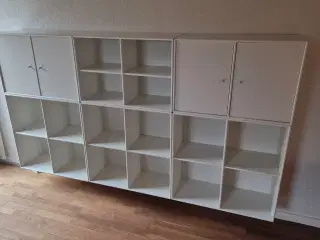 Montana reoler