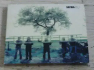 SAYBIA - THESE ARE THE DAYS