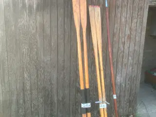 2 sæt årer