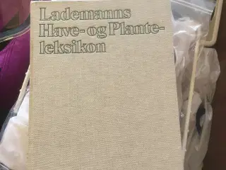 Lademanns Leksion