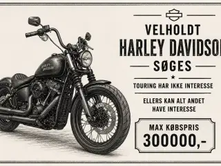 Harley Davidson købes