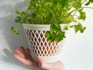 Hvid plastkurv til urtepotte, ophæng, NB
