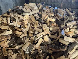 Blandet lærk og gran