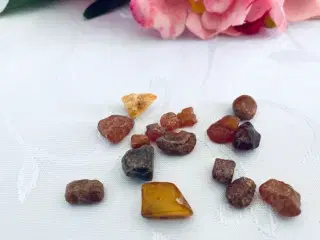 Rav 