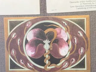 Receptkuverter fra Næstved løveapotek 