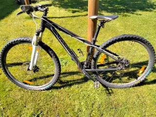 Raam 2910 mountainbike 