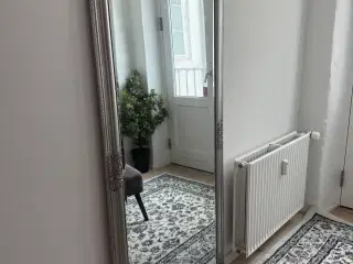 Spejl