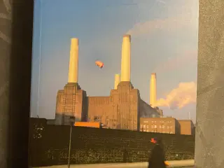 Mark Blake pigs might fly, story of Pink Floyd