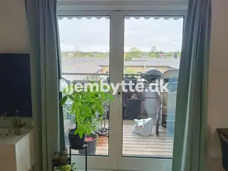 Hjembytte - Dildhaven