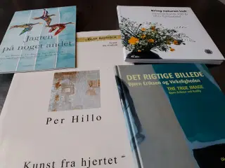 4 Kunstbøger 