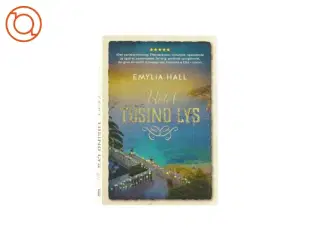 Hotel 1000 lys af Emylia (bog)