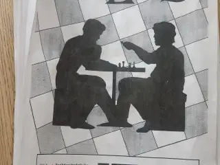 Enarmet tyveknægt CHESS