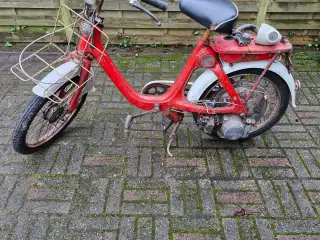 Honda p25 