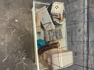 Marsvin/hamster bur