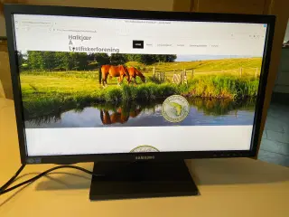 Samsung S22C650 Skærm 22 tommer
