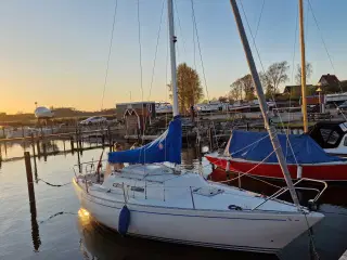 Albin Accent 26