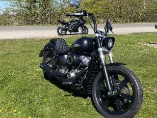 Street bob / Standart 107 