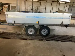 Buggy trailer 