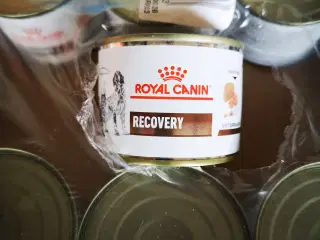 Royal Canin Recovery, 10 ds. 