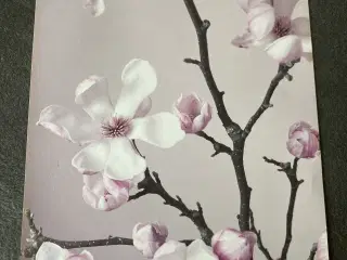 Plakat med blomster 21x30