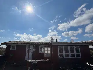 Kolonihave i Odense sælges 