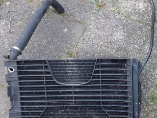 Honda CBR600 F2 køler