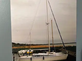 Sejlbåd, Dehler 25