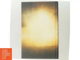 Kætteren af Carlo A. Martigli (Bog)