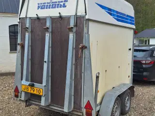 Hestetrailer udlejning 