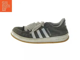 Adidas Campus sneakers, størrelse 39 fra Adidas (str. 39 )
