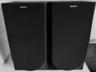Sony SS-E107V Speaker System