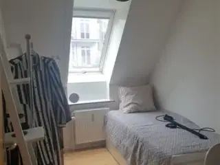 Easy, cozy and comfy rooms for females, København N, København