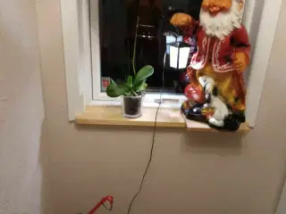 Skøn gammel nisse