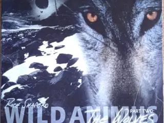 Rich Shapero: Wild Animus Part Two: The Wolves