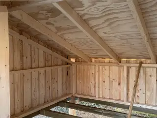 Shelter
