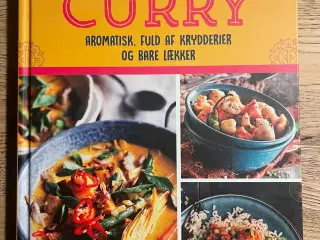 Curry aromatisk, fuld af krydderier og bare lækker