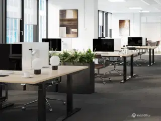 Kontor på 1.017 m² med skønt lysindfald og mulighed for momsfritagelse