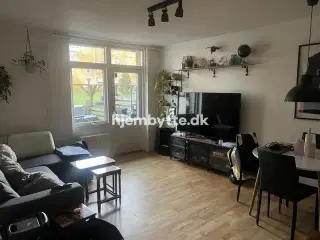 Hjembytte - Løvetandsvej
