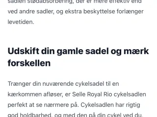 Cykel sadler 